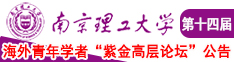 插插爱爱网址南京理工大学第十四届海外青年学者紫金论坛诚邀海内外英才！